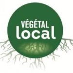 Logo végétal local